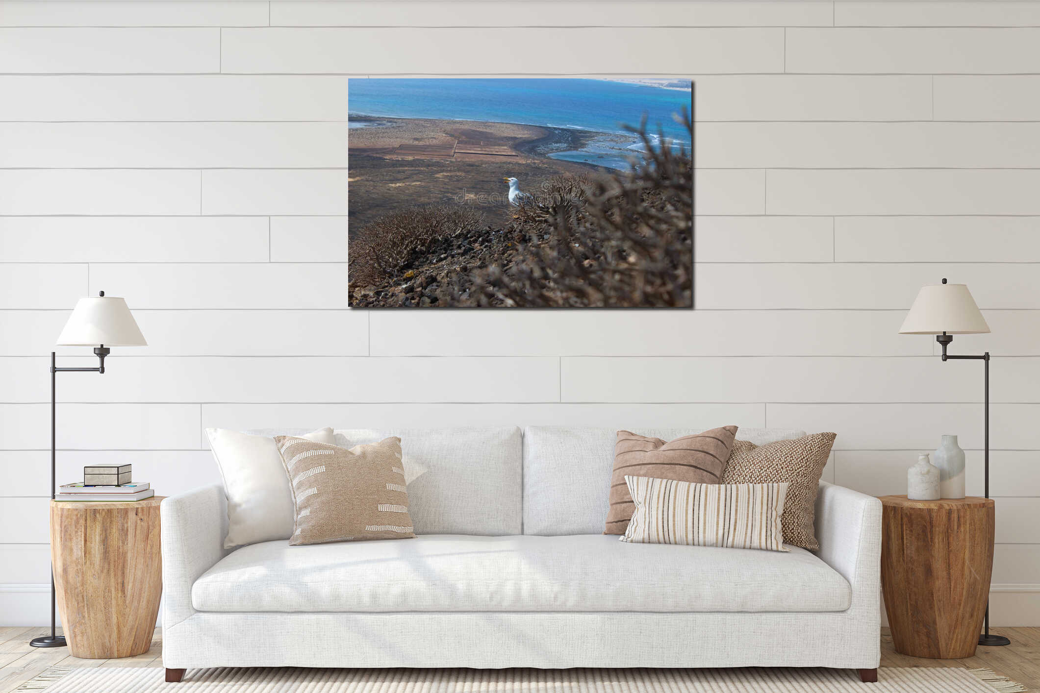 Yellow-Legged Gull on Lobos Island, Canary Islands interior mockup
