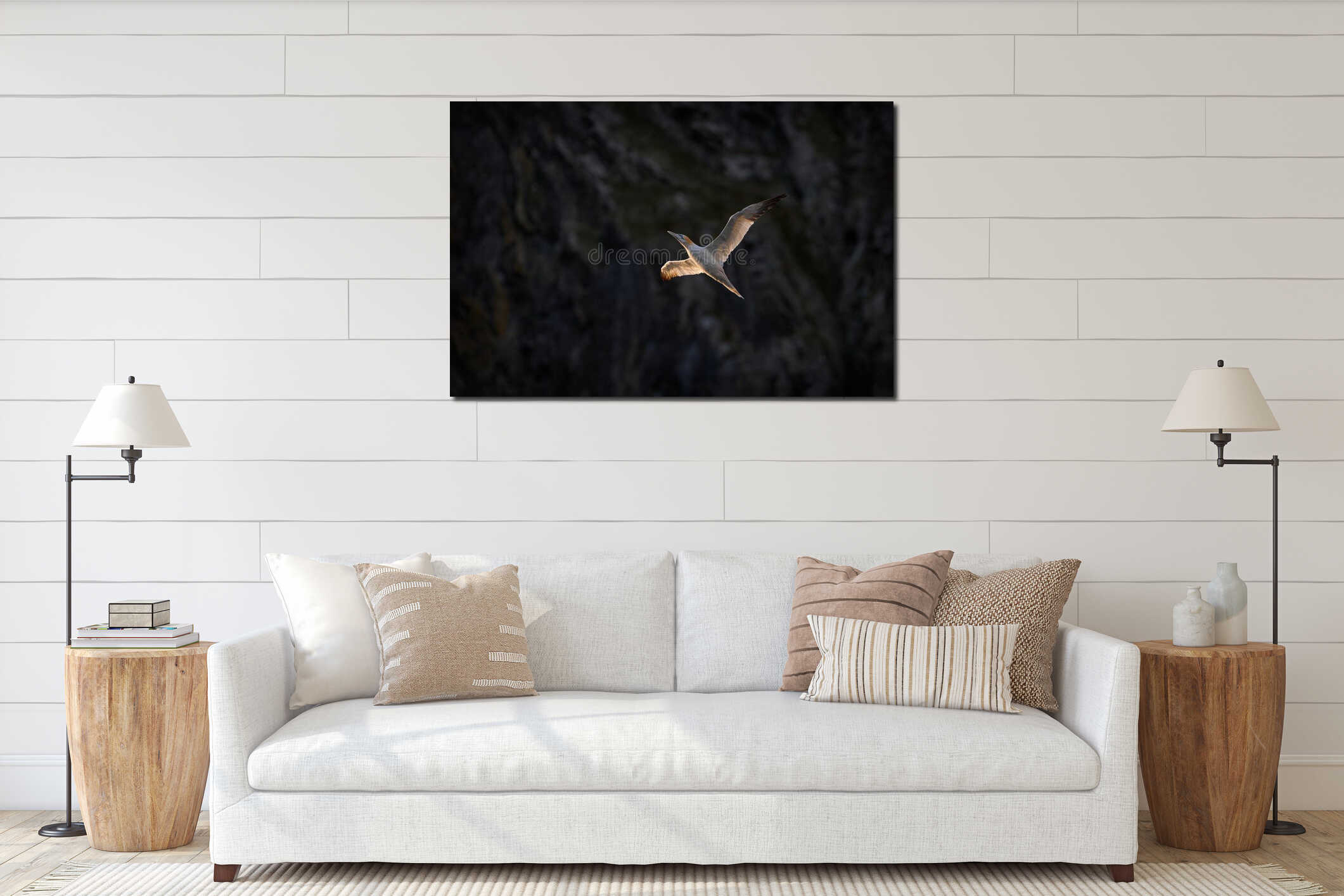 Flying sea bird, Northern gannet with rock in the background, Runde Island, Norway. Gannet in flight in the nature sea habitat. interior mockup