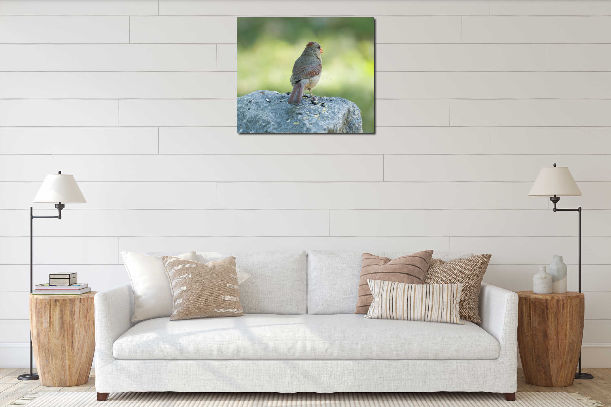 Female Cardinal standing on a rock interior mockup