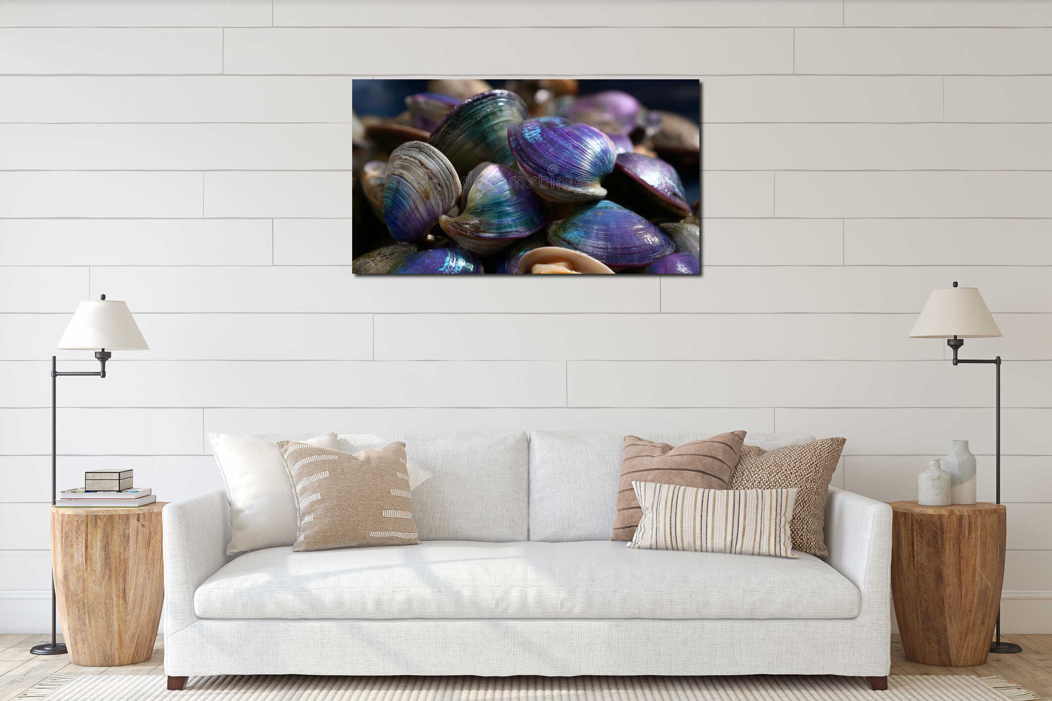 Close-up of colorful shiny clam shells in natural setting interior mockup