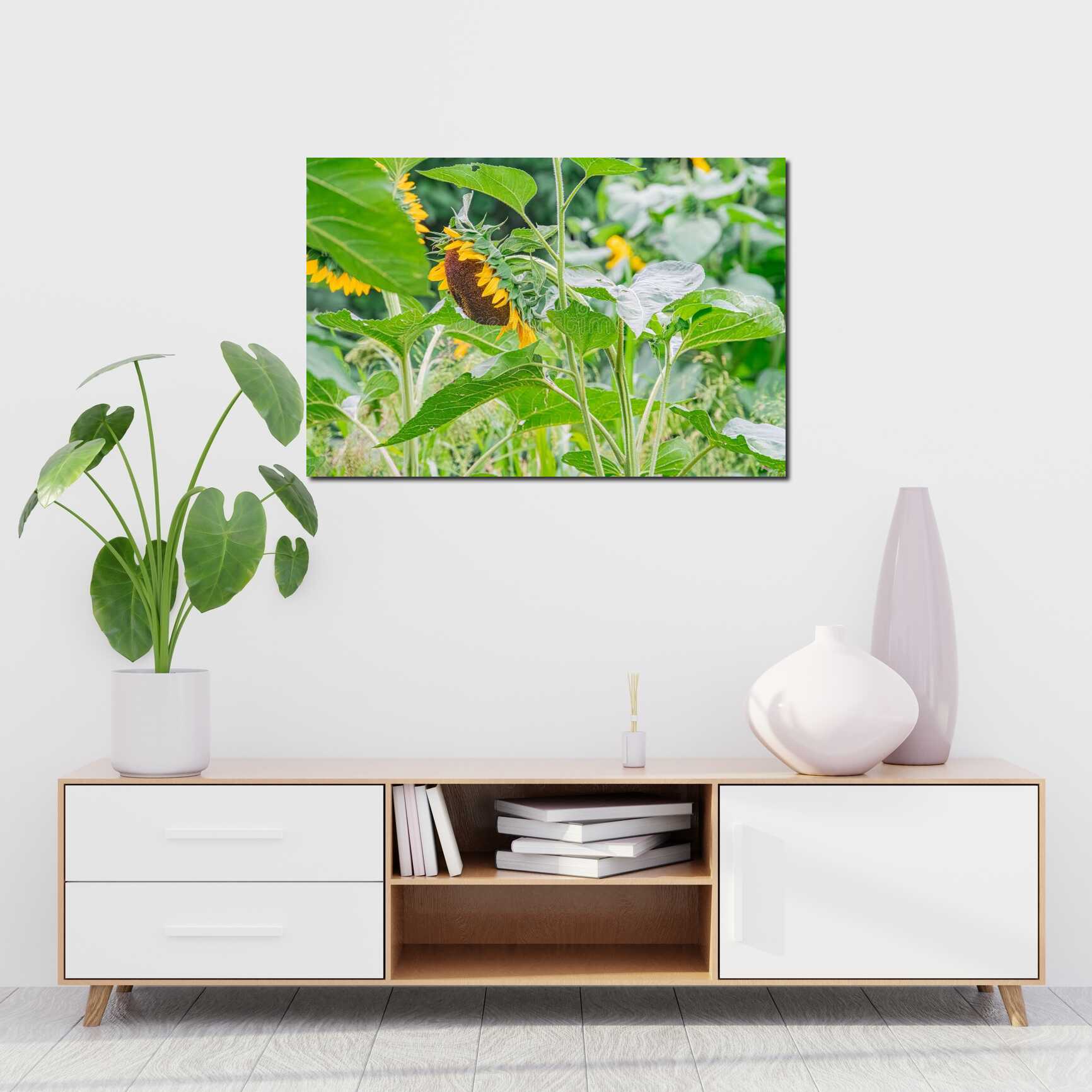 Canvas above sofa for size context