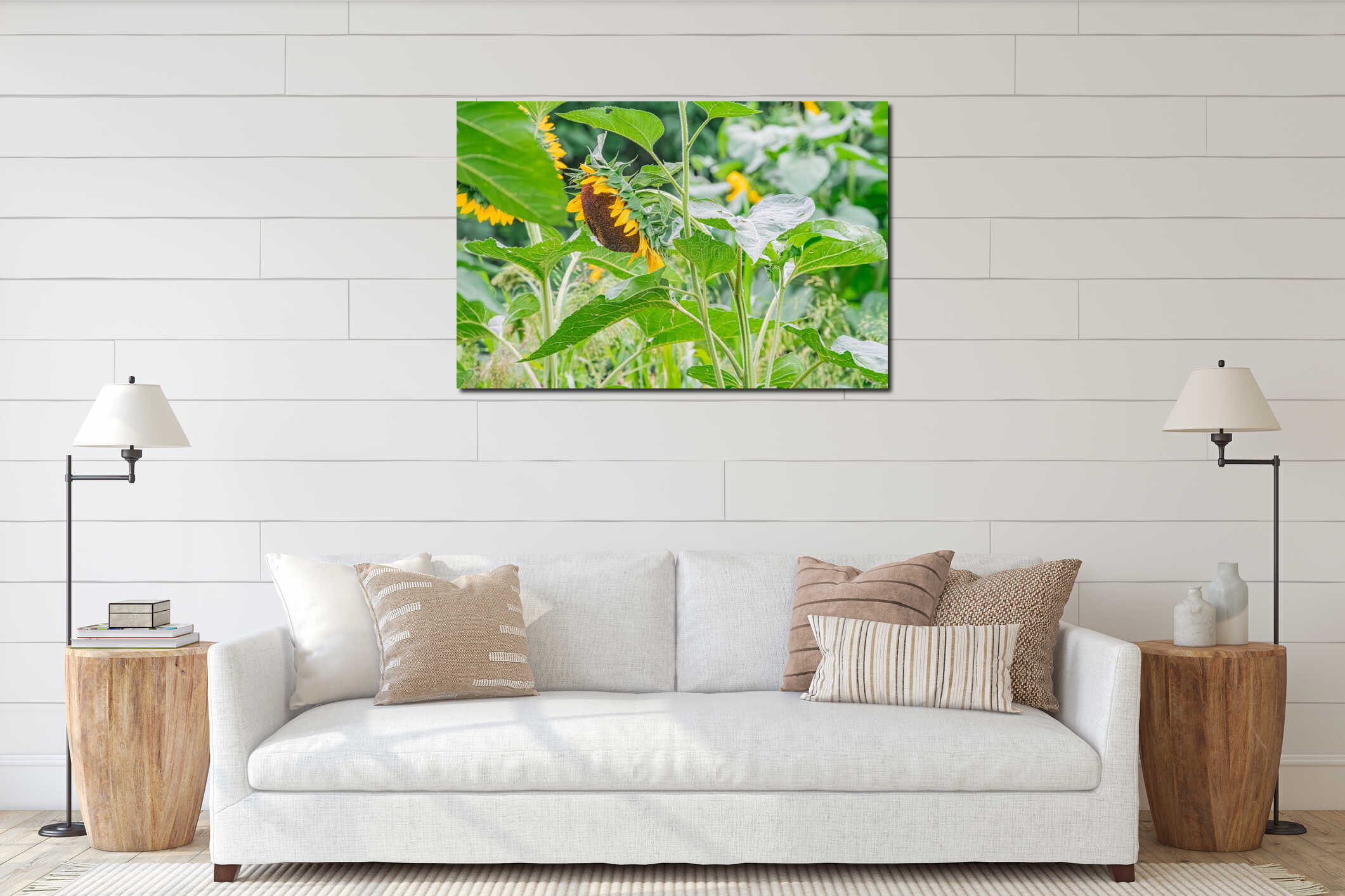 Canvas above sideboard for size context