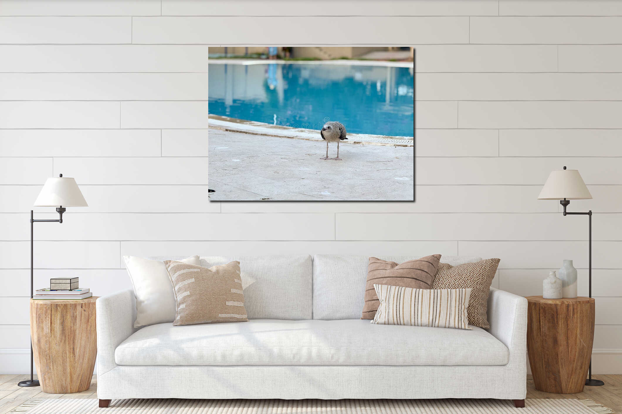Juvenile seagull standing near poolside on stone surface. Wildlife, observation, and nature lifestyle with summer tourism interior mockup