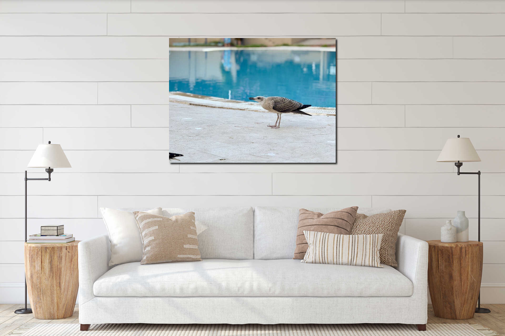 Juvenile seagull standing near poolside on stone surface. Wildlife, observation, and nature lifestyle with summer tourism interior mockup