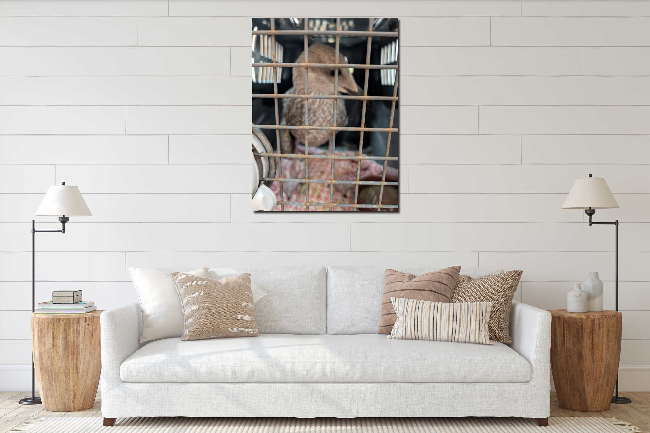 Adolescent Seagull in Cascais, Portugal in Crate interior mockup