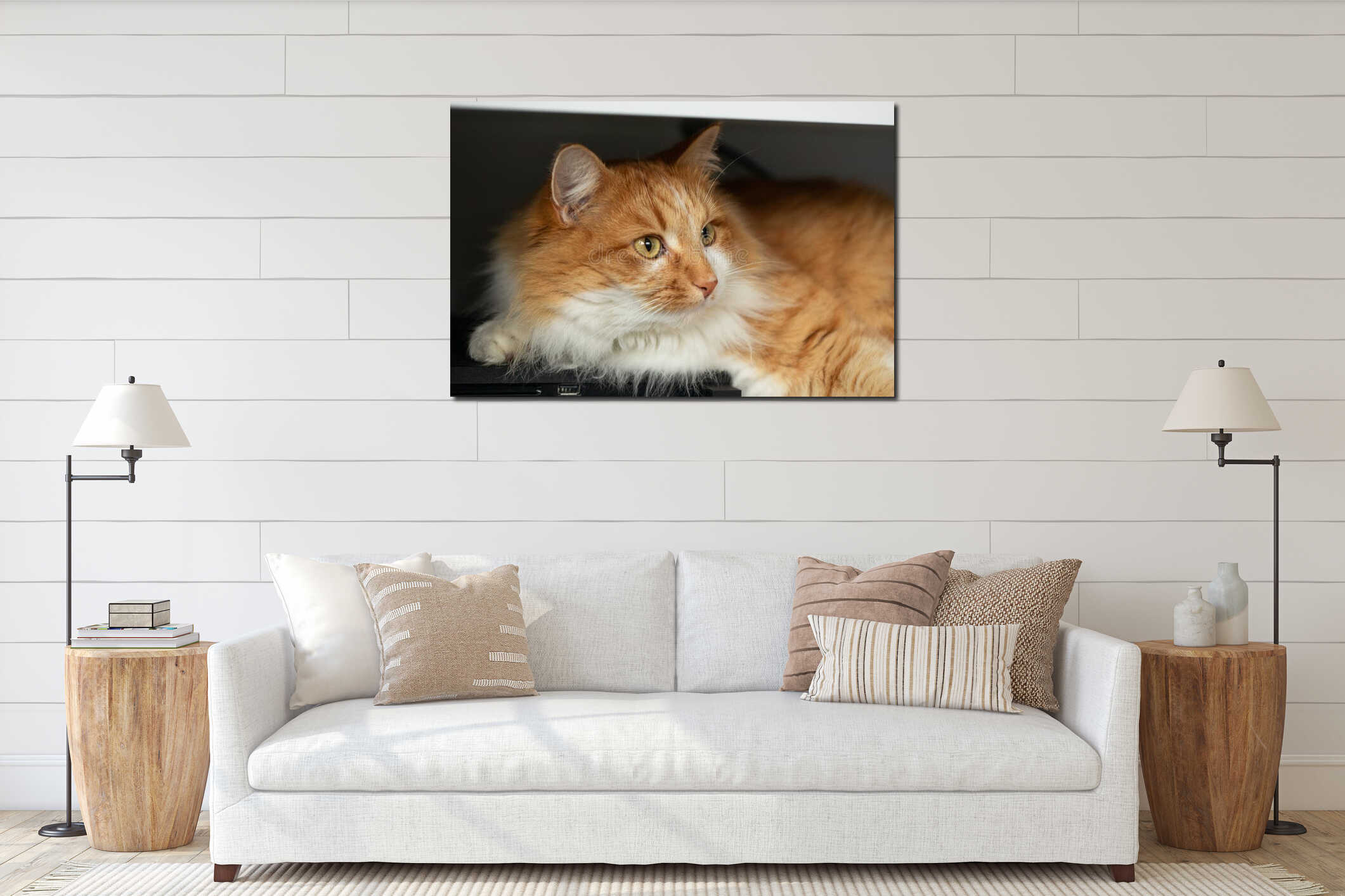 Ginger cat relaxing on a shelf in a cozy home environment interior mockup