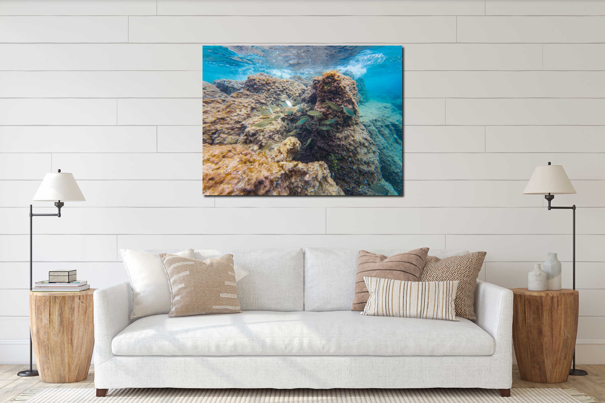 A school of fish swims over a sunlit rocky reef in the clear turquoise Mediterranean Sea, Saint-Jean-Cap-Ferrat, France interior mockup