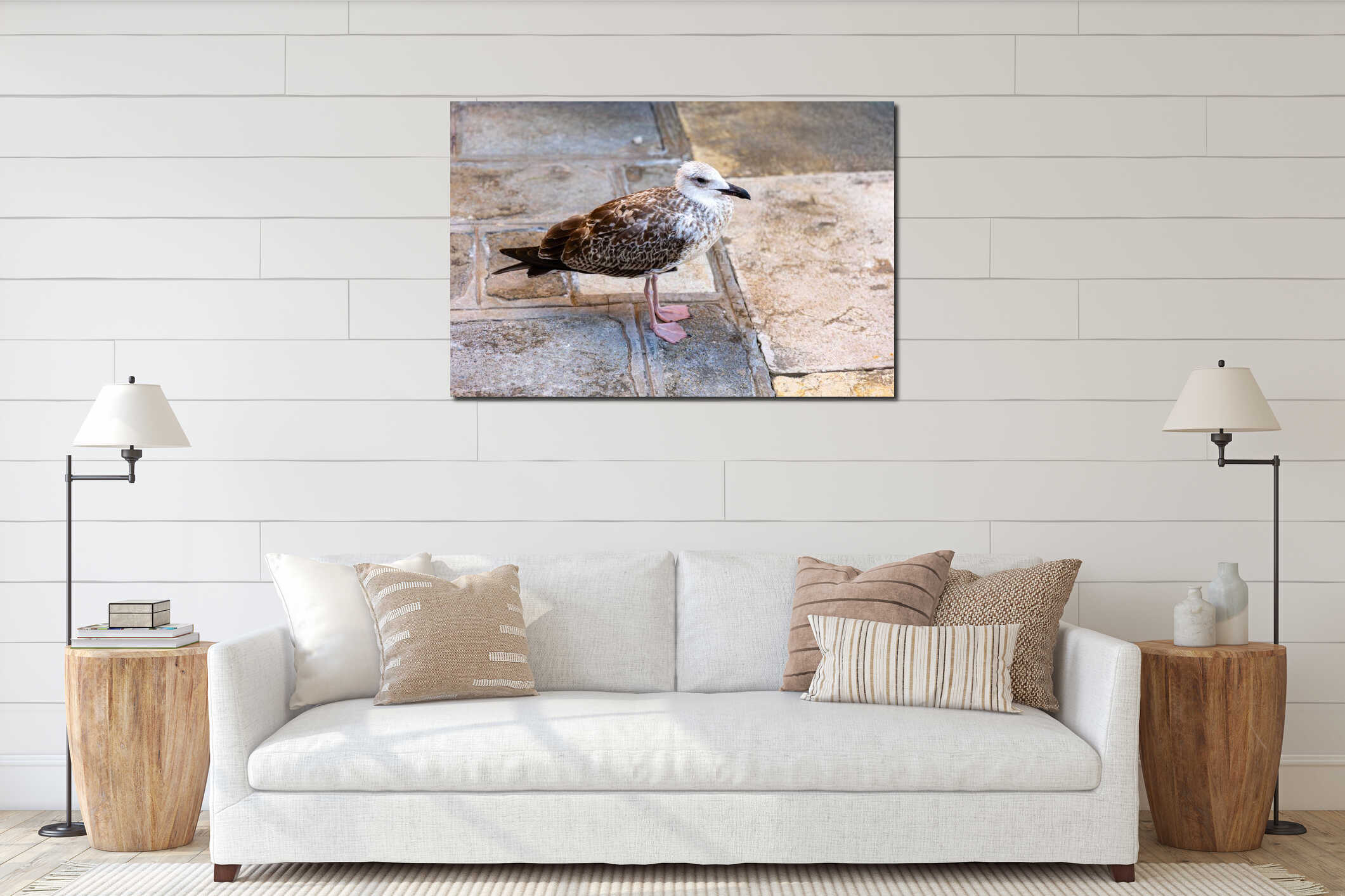 Juvenile seagull standing on stone pavement. Close-up of a young seagull with speckled feathers and pink legs resting on an aged interior mockup