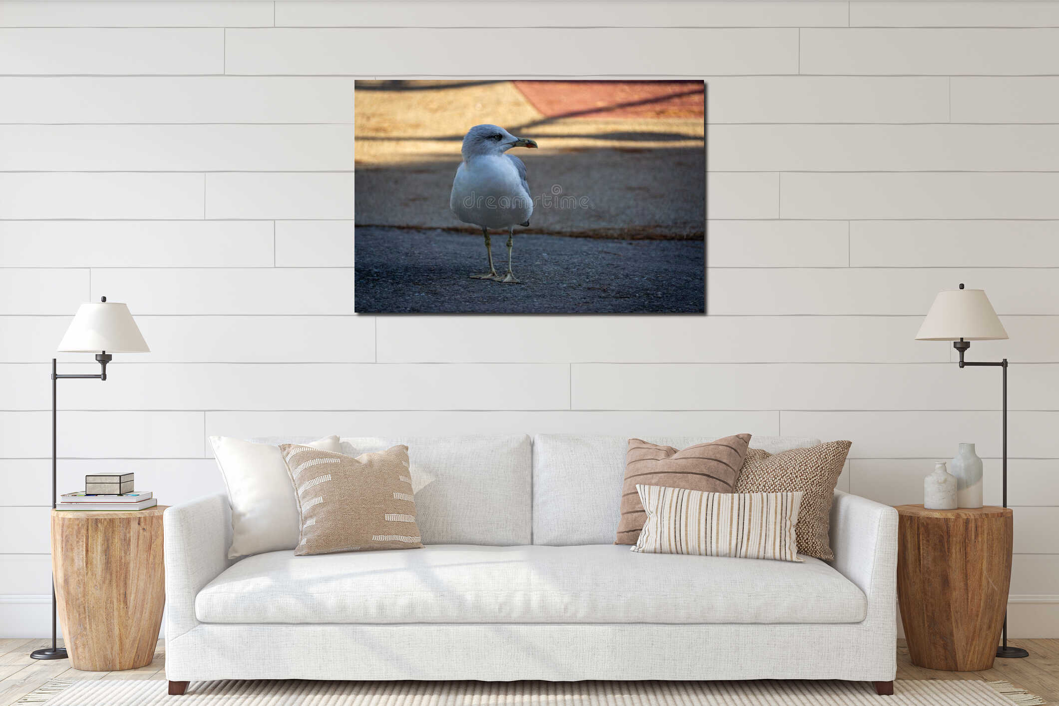 A seagull is standing on a sidewalk interior mockup