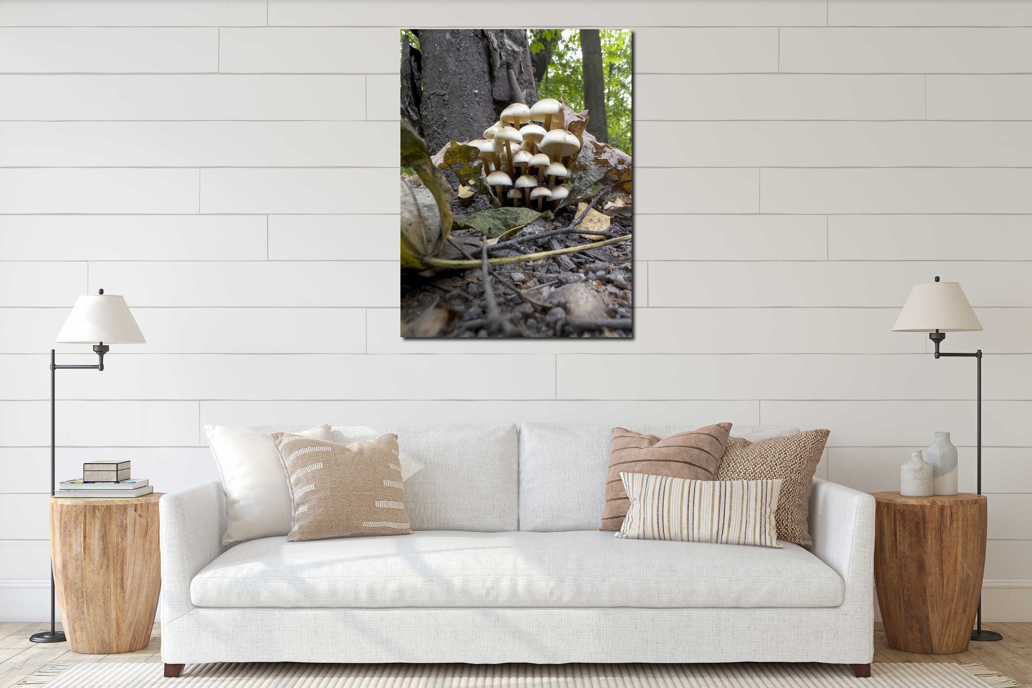 A cluster of mushrooms growing on the ground interior mockup