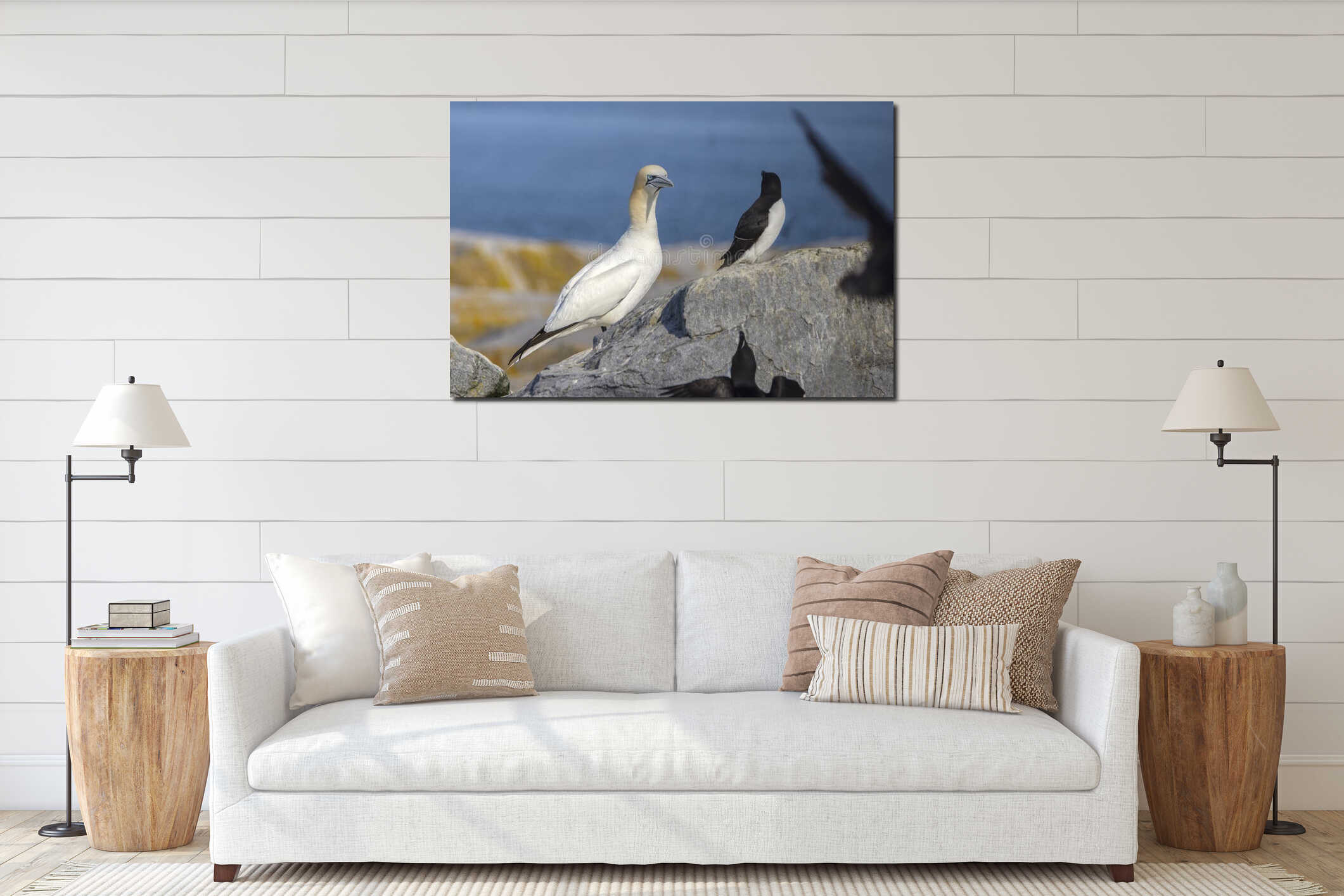 Northern Gannet Standing On A Rock interior mockup