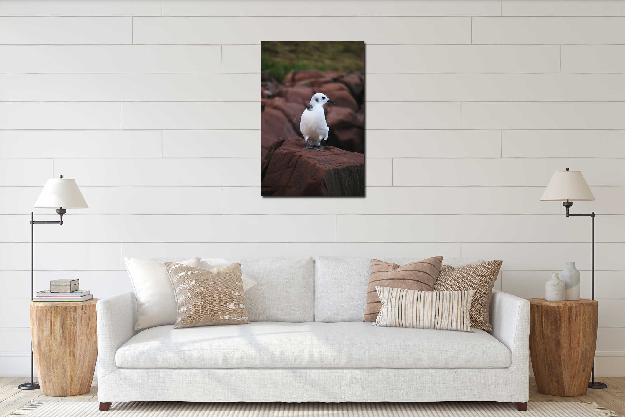 Seagull in Perfect Profile on Brick-Colored Rock interior mockup