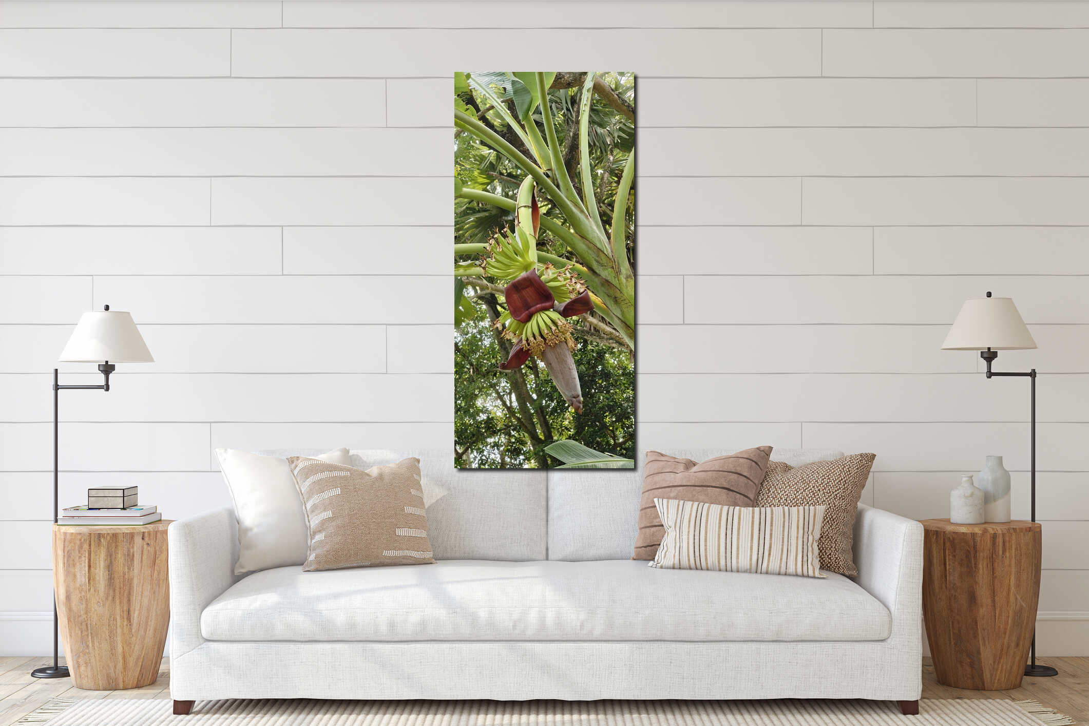 "Banana Blossom in Tropical Lush Green with Young Bunch Growing Upwards" interior mockup