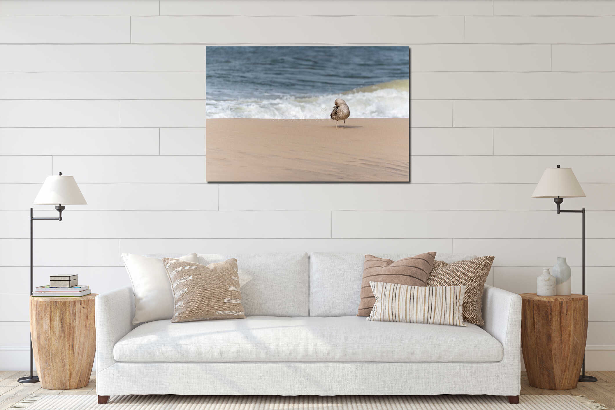 A single young seagull Larus argentatus stands preening its feathers on the beach. interior mockup
