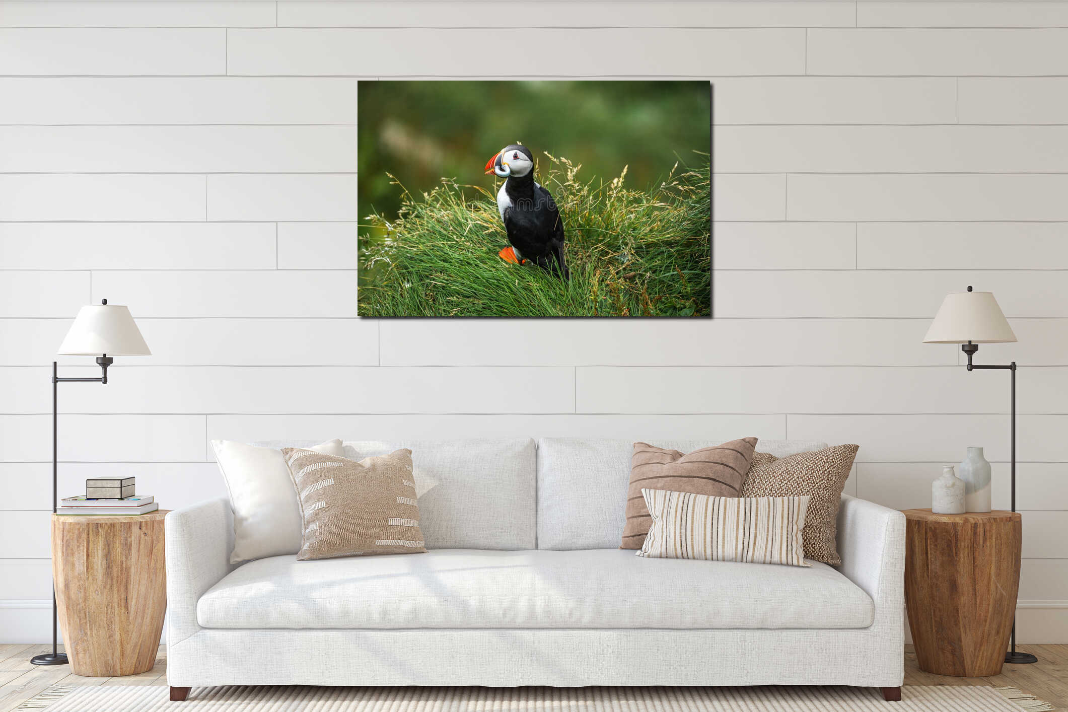 Atlantic puffin on grass mound along Iceland coastal cliffs in summer interior mockup