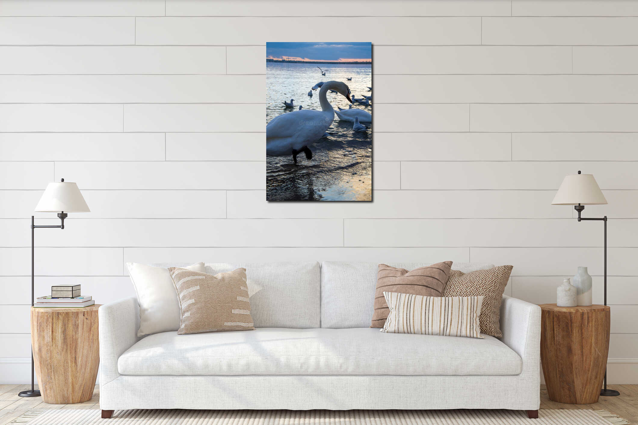 Majestic Mute Swan Wading Among Seagulls on the Water at Dusk interior mockup