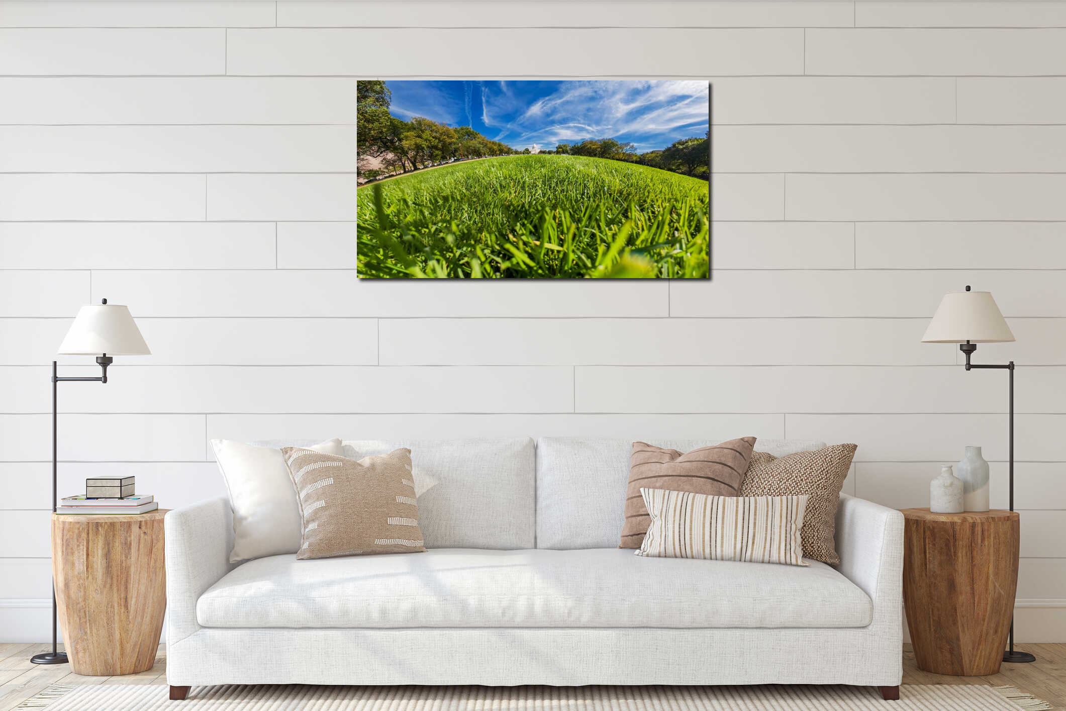 Symmetrical low-angle shot of lush lawn leading to the Capitol dome in the background interior mockup