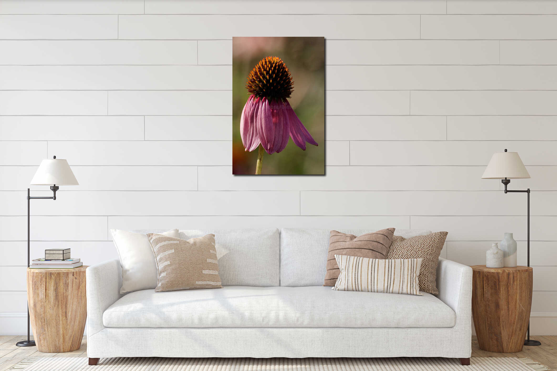 Close-up of a vibrant purple coneflower. interior mockup
