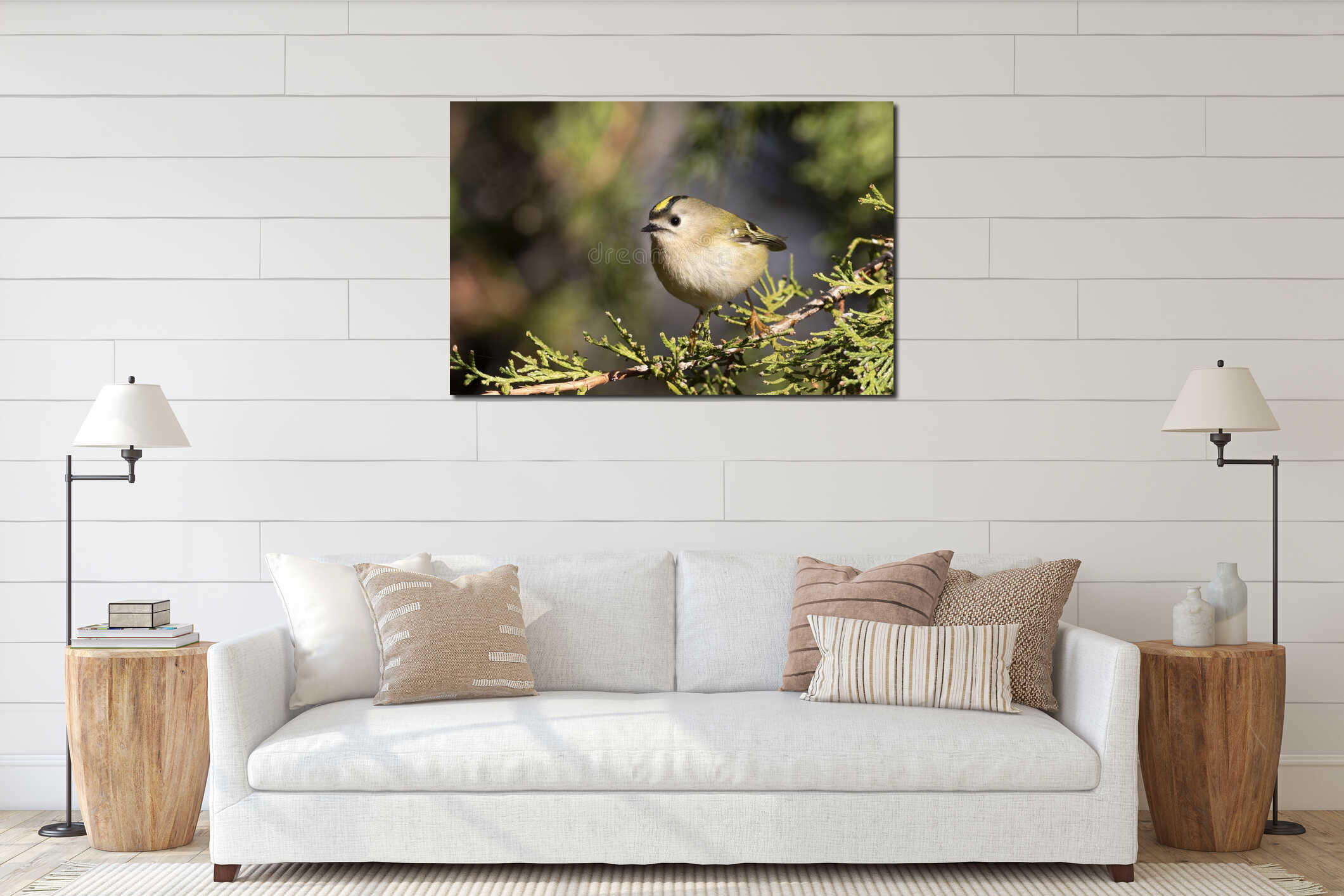 Goldcrest, Regulus regulus. Bird sitting on a branch, close-up, beautiful background interior mockup