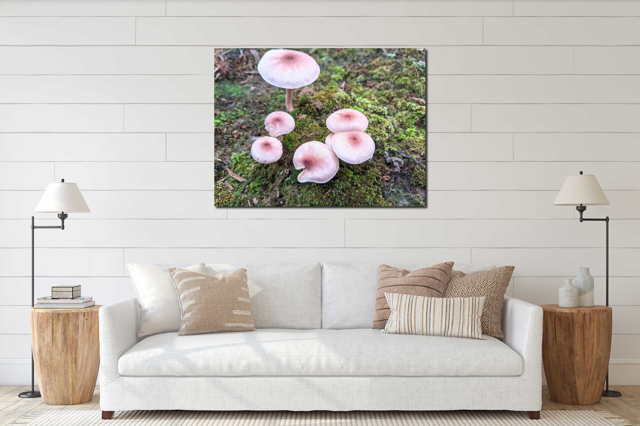 Cluster of pink wild mushrooms growing on mossy forest ground interior mockup