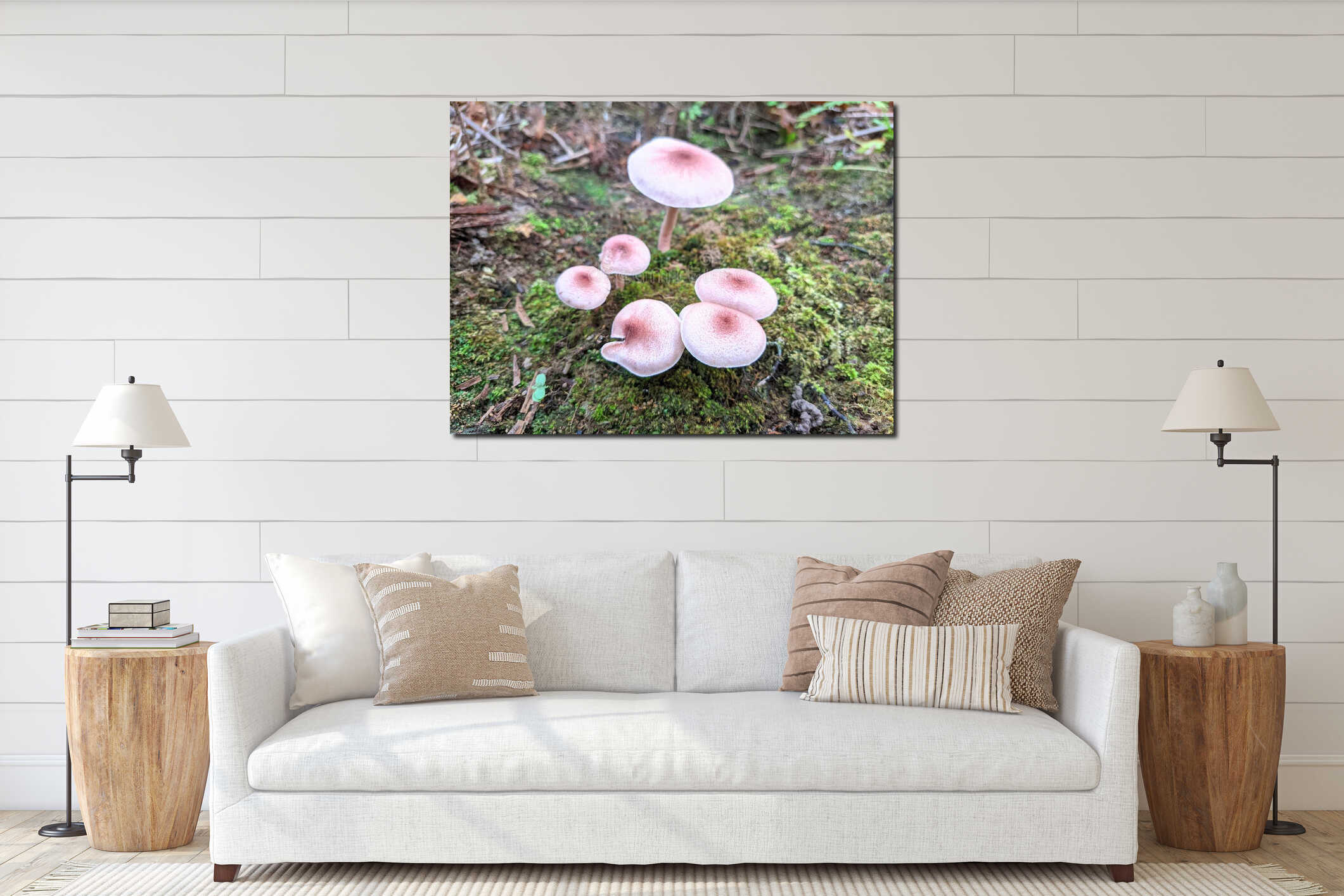 Cluster of pink wild mushrooms growing on mossy forest ground interior mockup