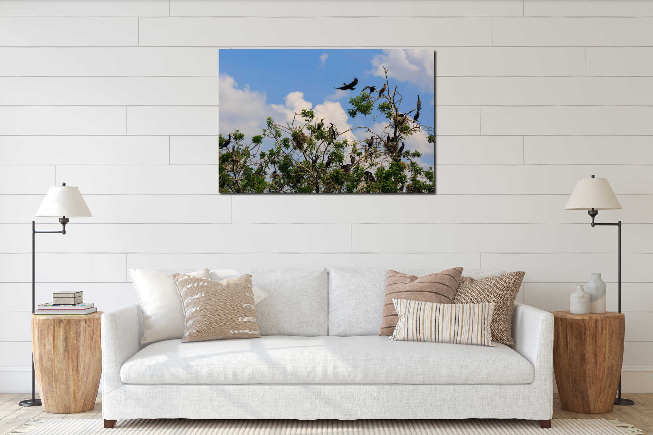 Cormorants of Kopacki rit interior mockup