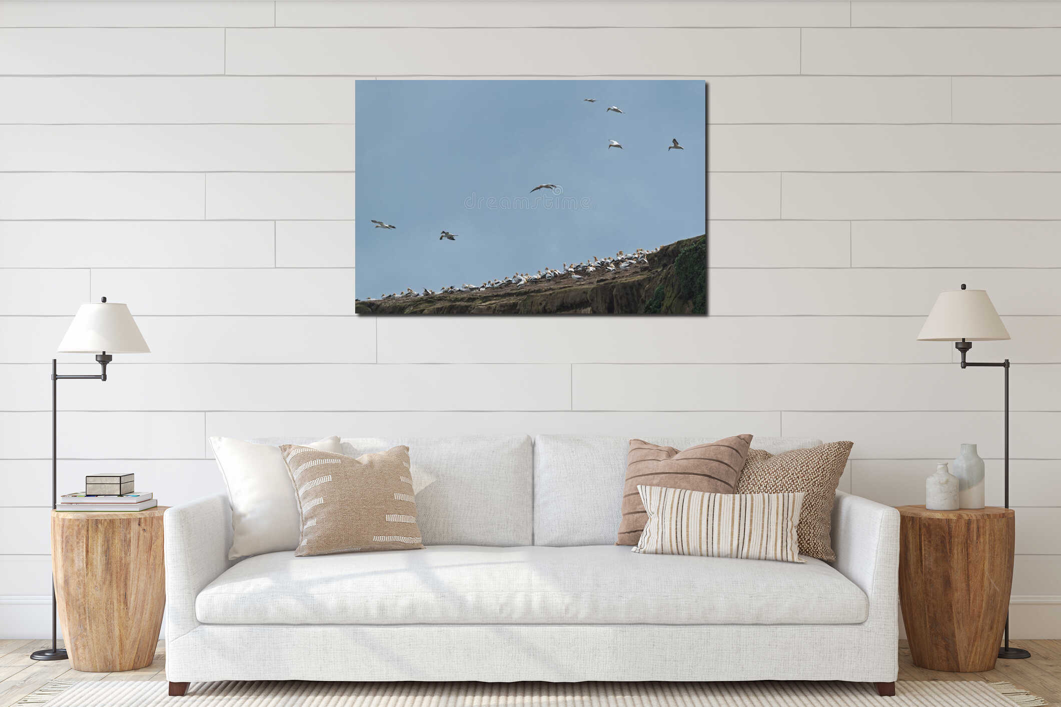 Seabirds soaring above a cliffside colony. interior mockup
