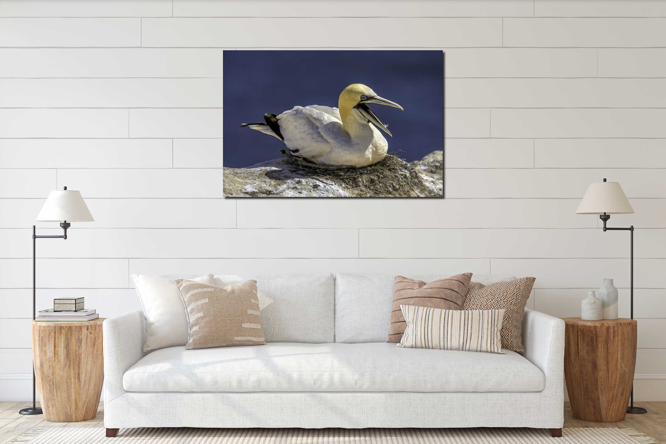 Northern Gannet, Helgoland island, Germany interior mockup