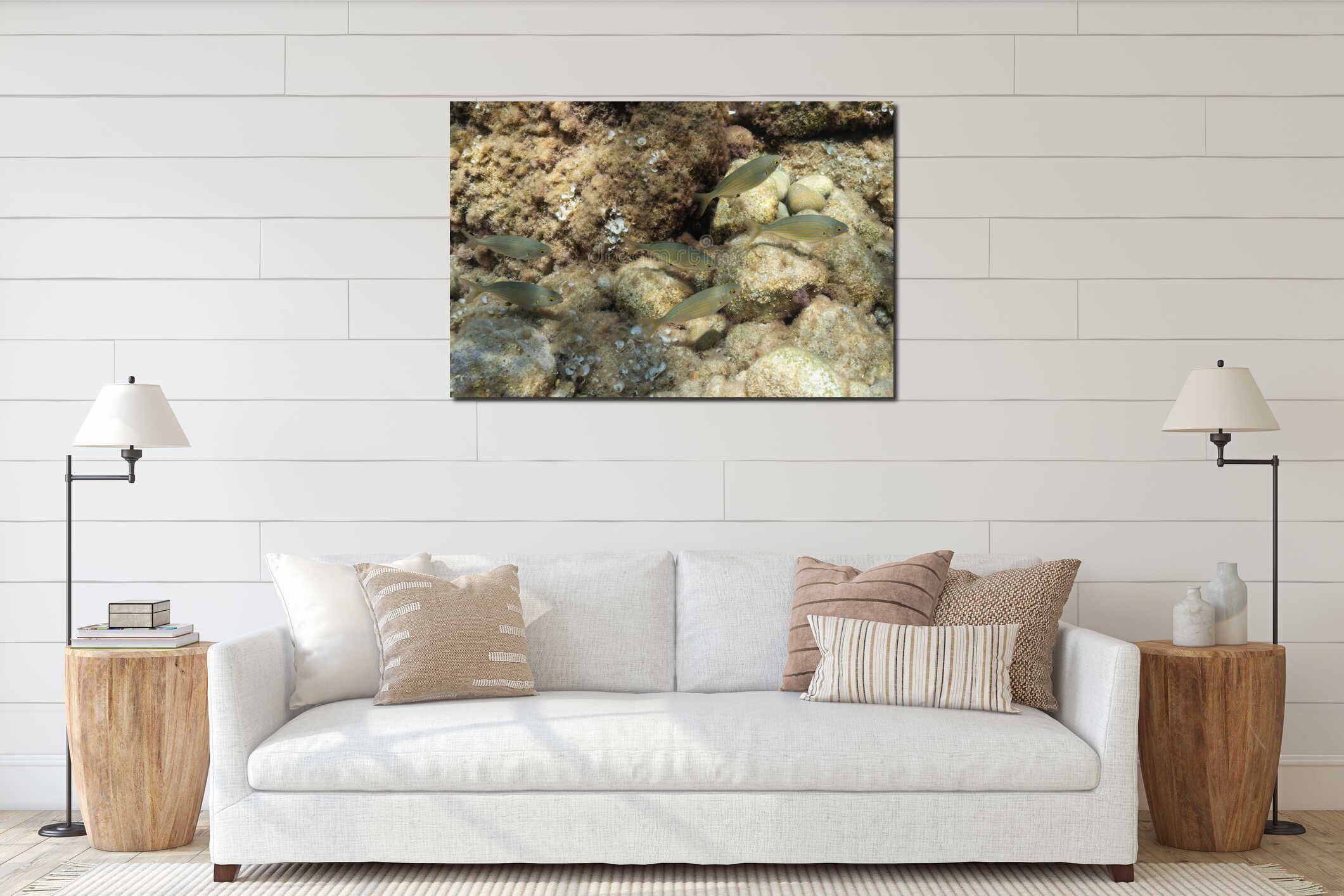 A school of Salema porgy (Sarpa salpa) fish with golden stripes swimming over a rocky seabed in the Mediterranean Sea interior mockup