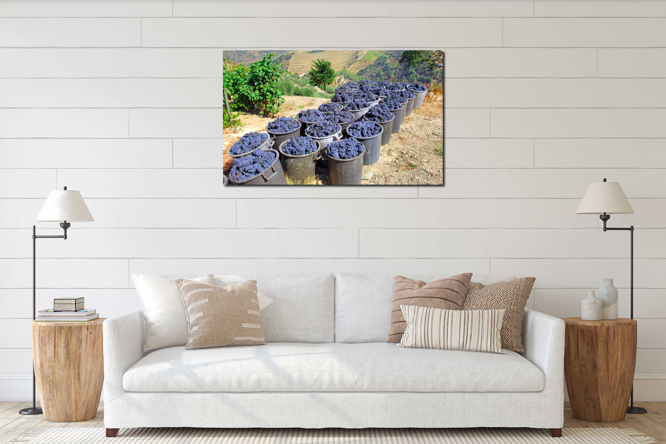 Portugal, Douro valley: Grapes interior mockup