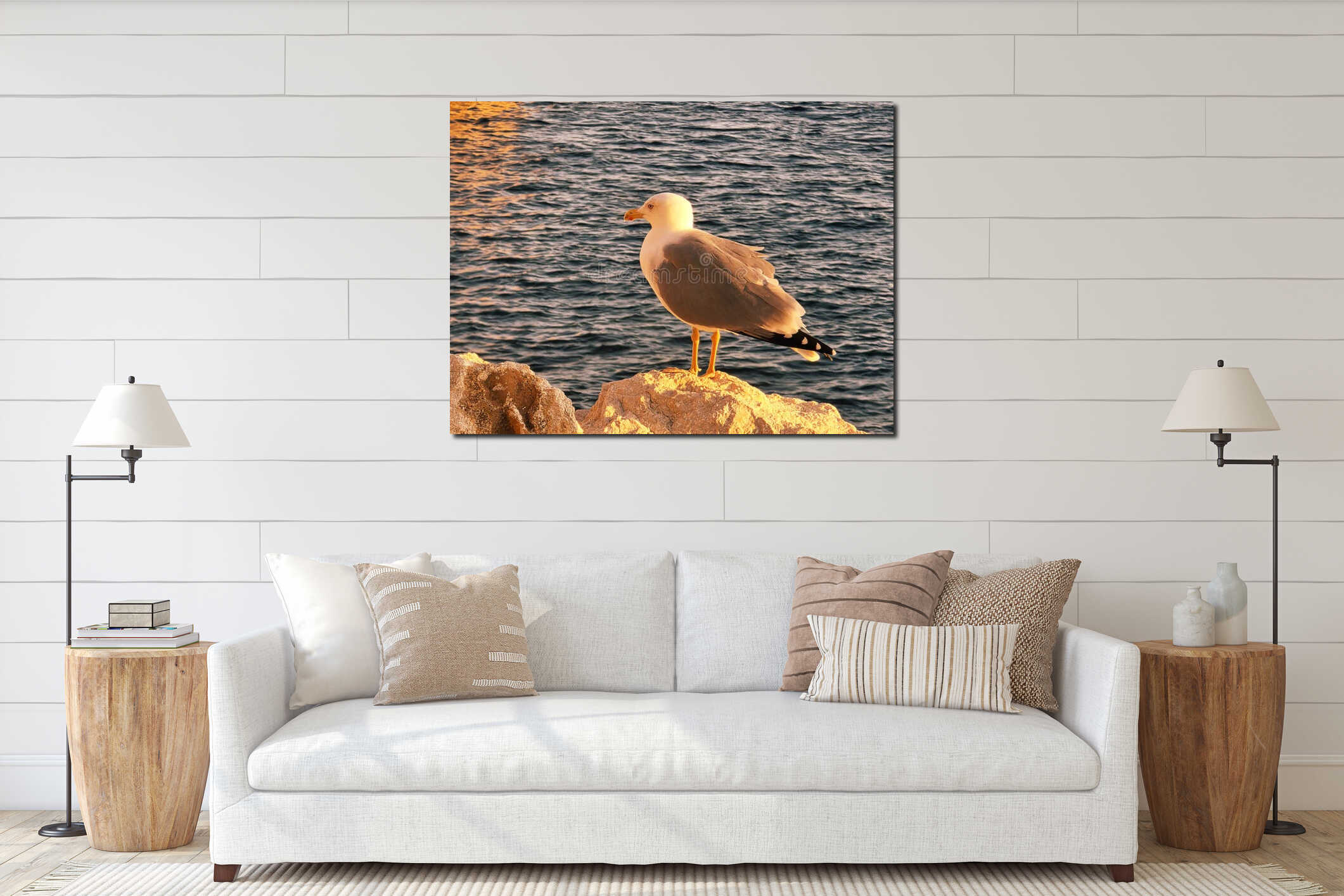 Close-up of a white-grey seagull in the light of the sunset on the rocky beach of the Costa Blanca in Spain. Birds on the interior mockup