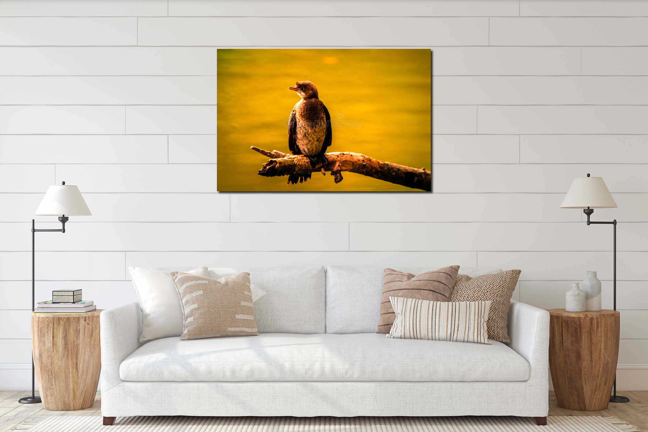 A cormorant perched on a weathered tree branch over a body of water, located in Oasi WWF di Marmirolo interior mockup