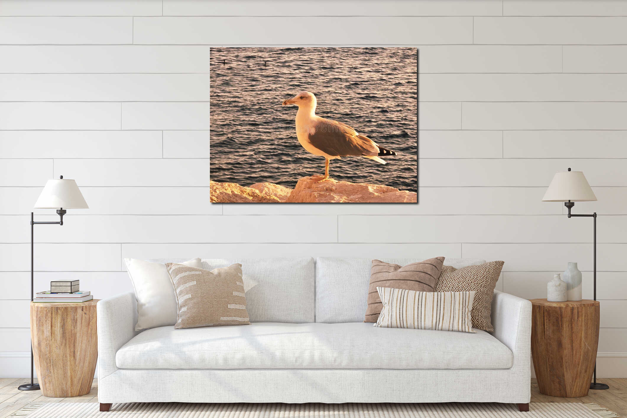Close-up of a white-grey seagull in the light of the sunset on the rocky beach of the Costa Blanca in Spain. Birds on the interior mockup