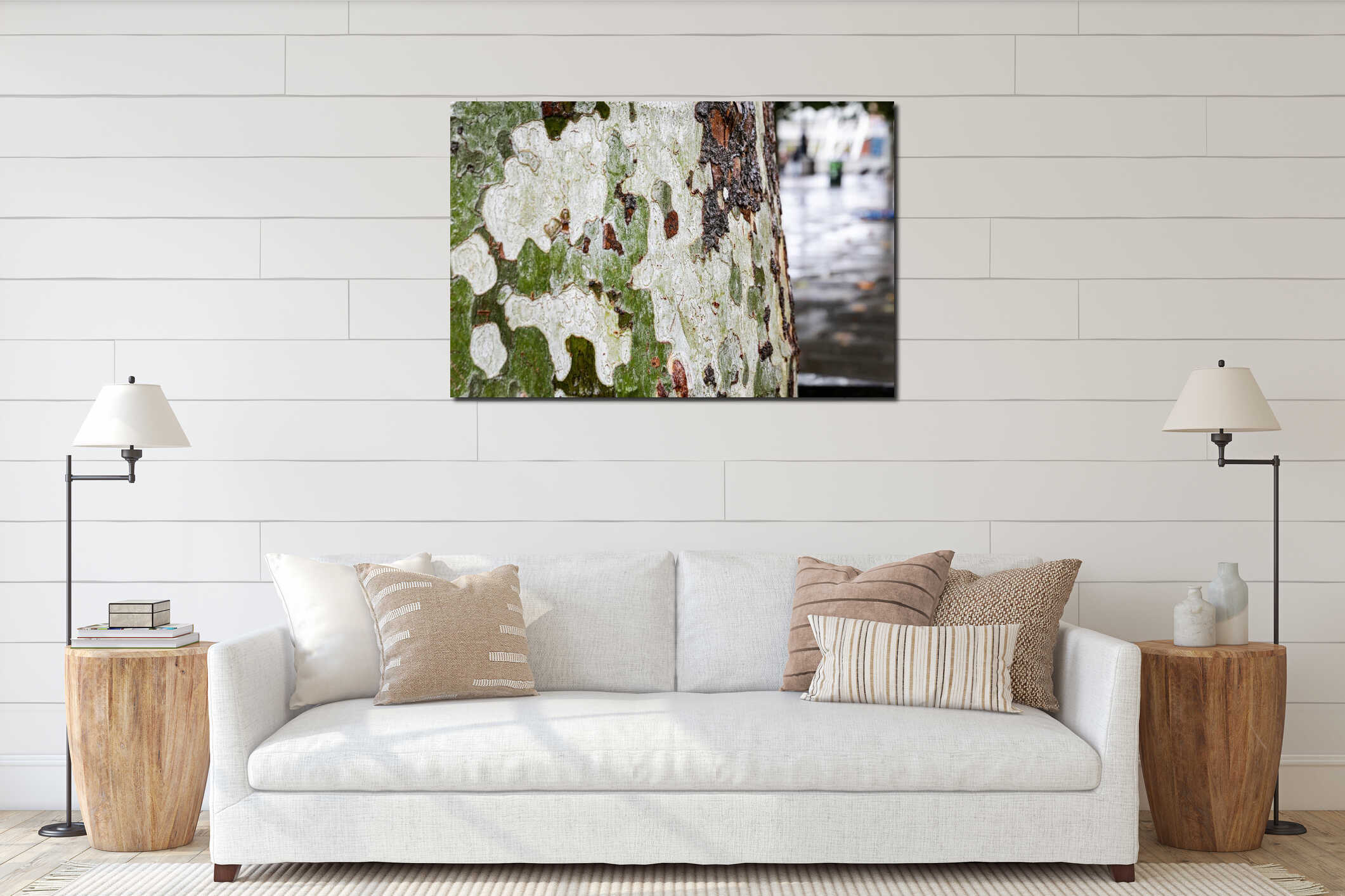 Close up of tree bark texture with natural green and brown pattern after rain interior mockup