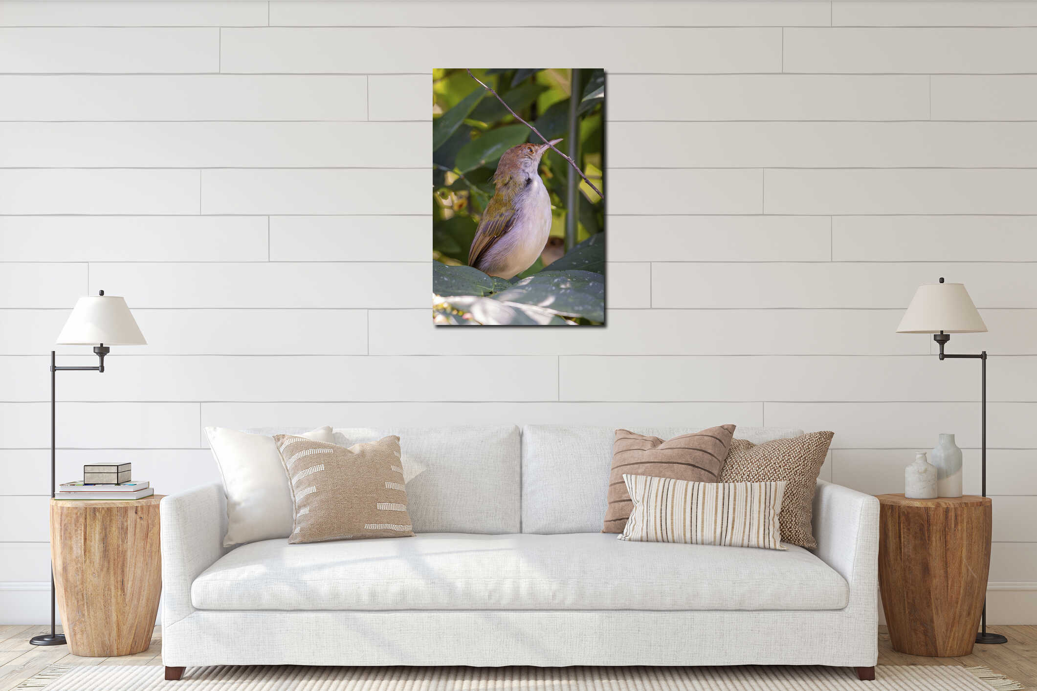 Close-up of a Common Tailorbird in Vibrant Green Foliage, Perched on a Leaf and Looking Upwards interior mockup