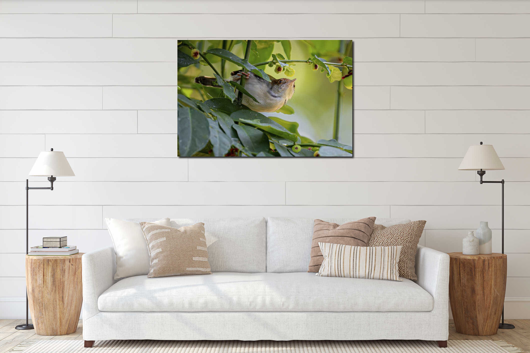 Common Tailorbird Perched Among Lush Green Foliage Looking Upwards with Curious Gaze in Natural Habitat interior mockup