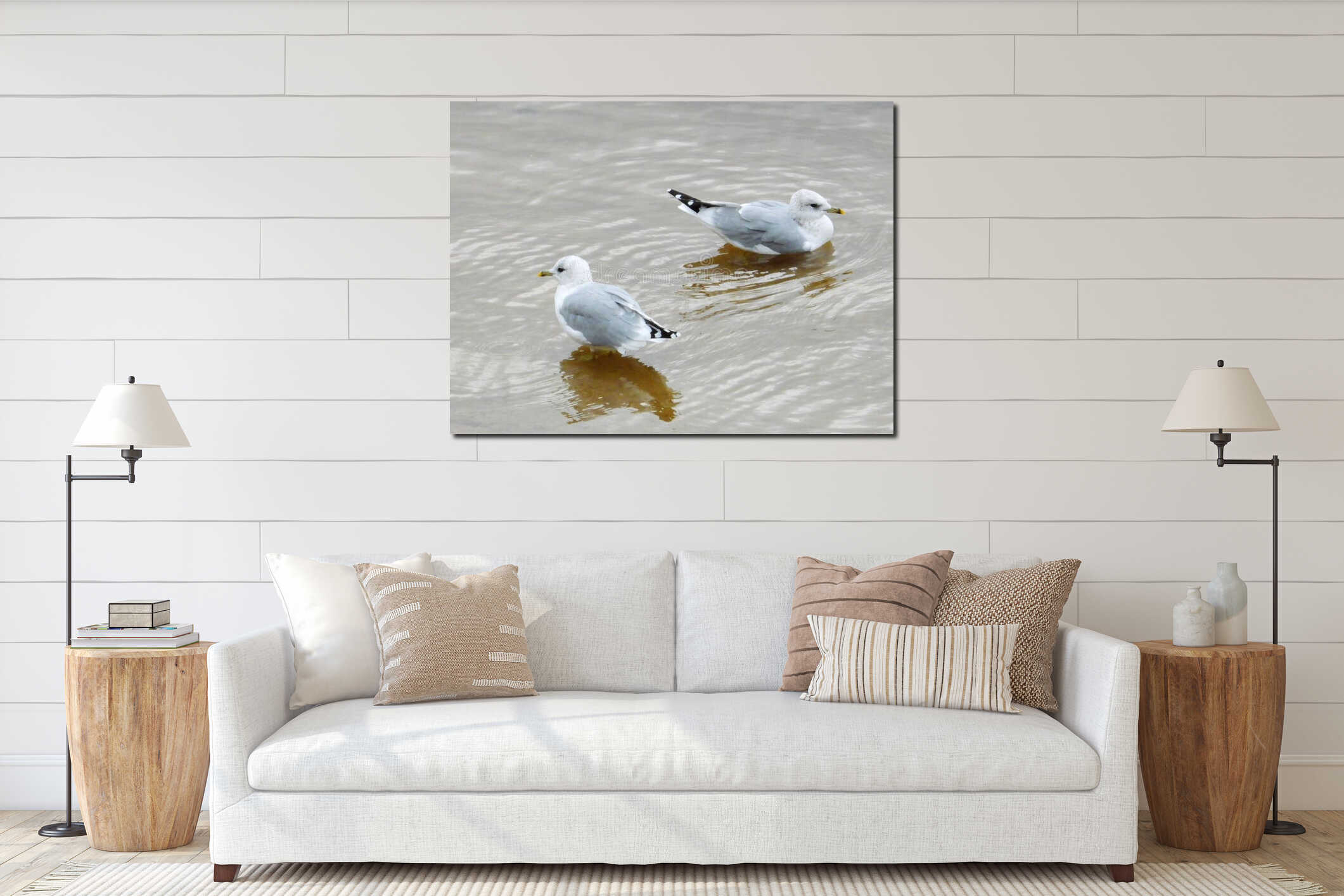 Minimalist Wildlife Scene with Two Seagulls in Shallow Water interior mockup