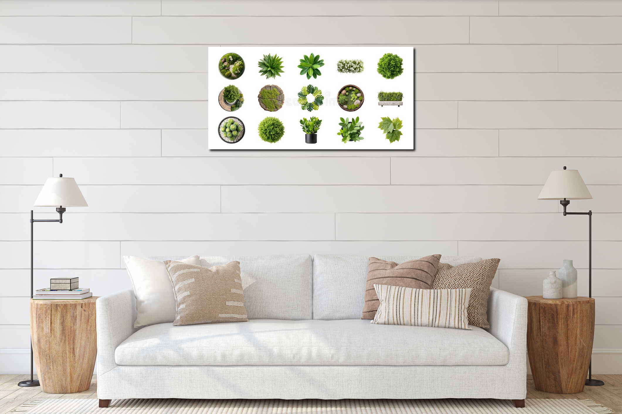 Assorted Greenery And Plant Top View Set. Botanical And Nature Design Elements Collection Isolated On Transparent interior mockup