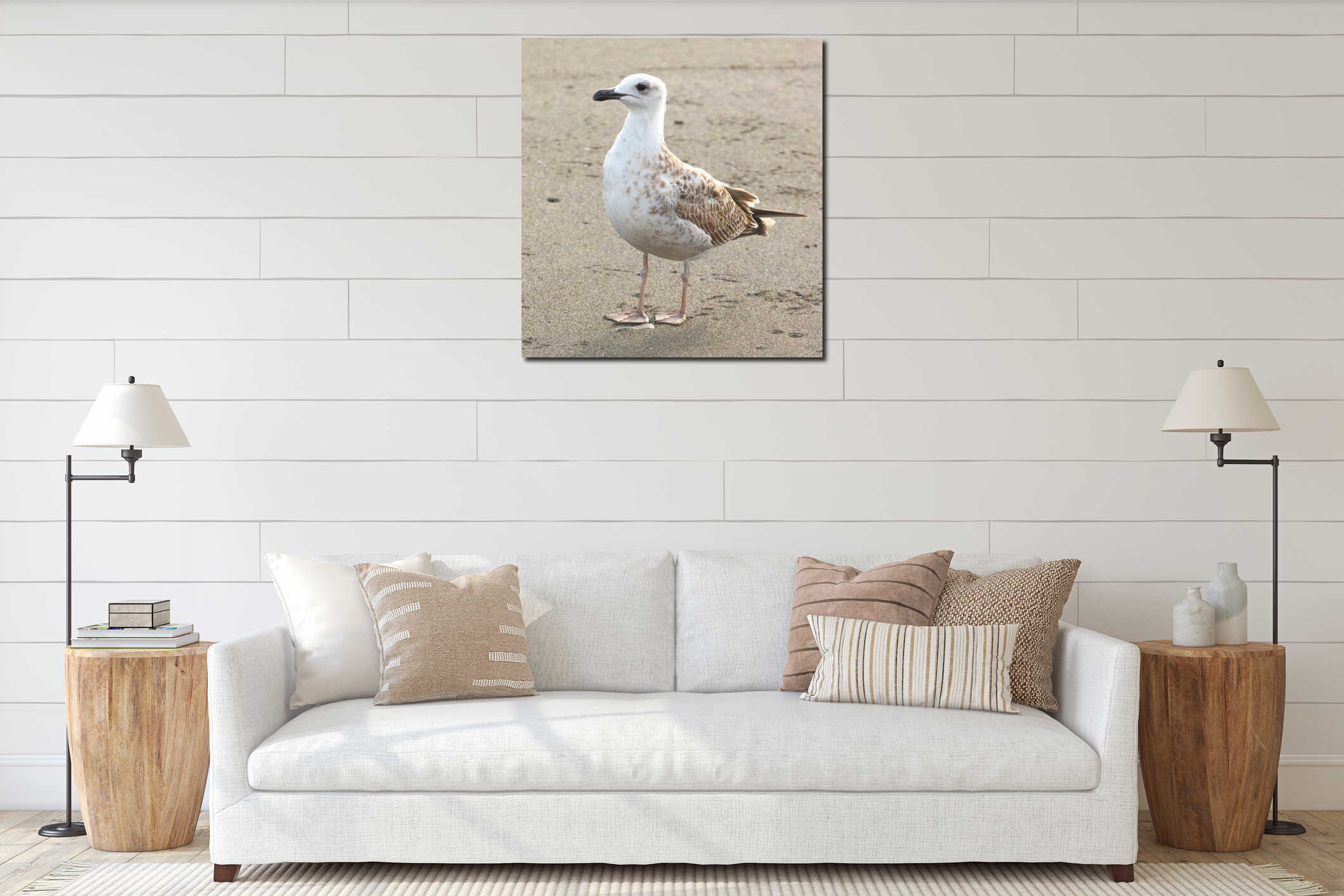 A seagull is standing on the beach interior mockup