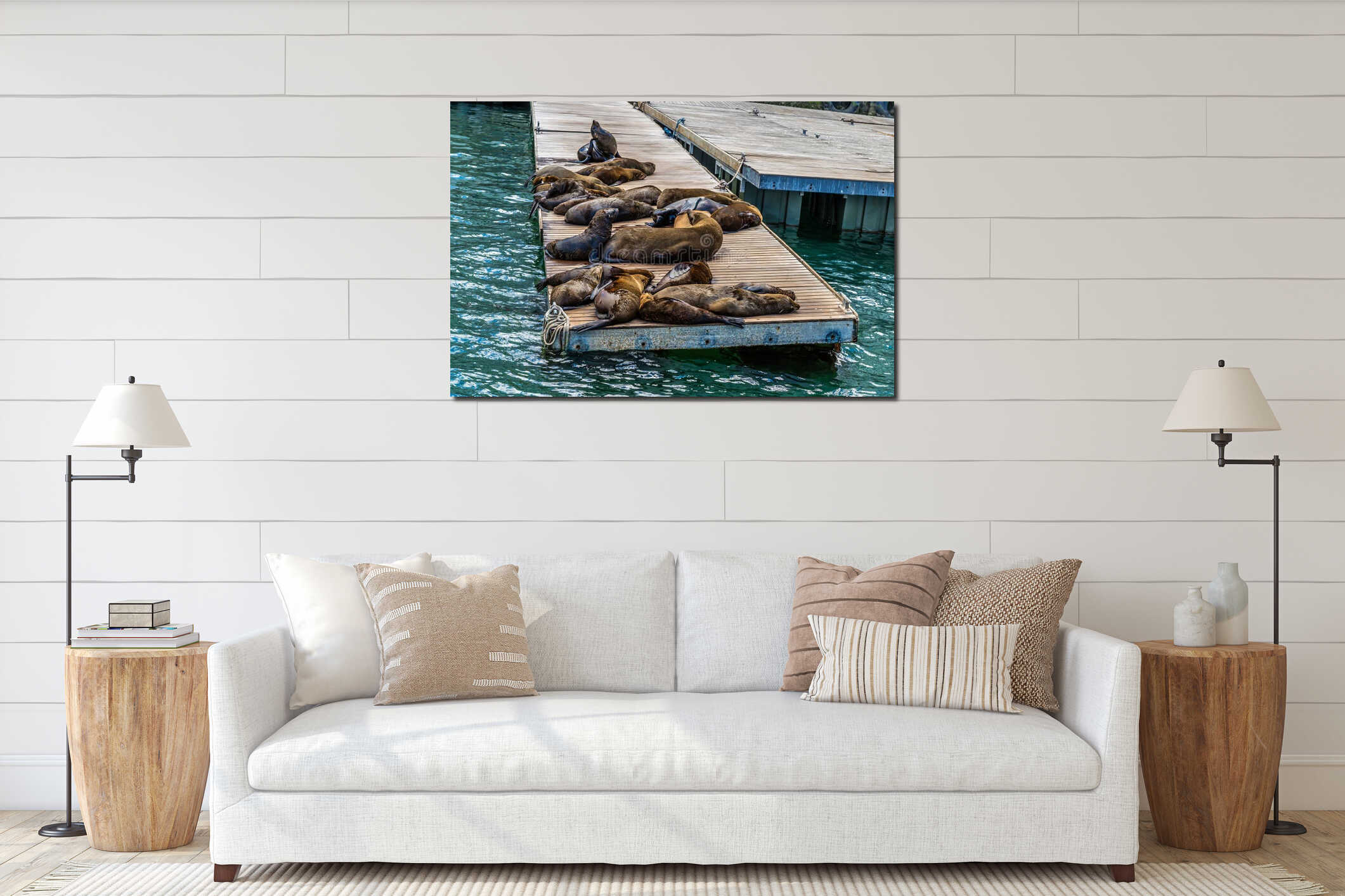 A view of a colony of sea lions resting on a jetty in Table Bay harbour in Cape town, South Africa interior mockup