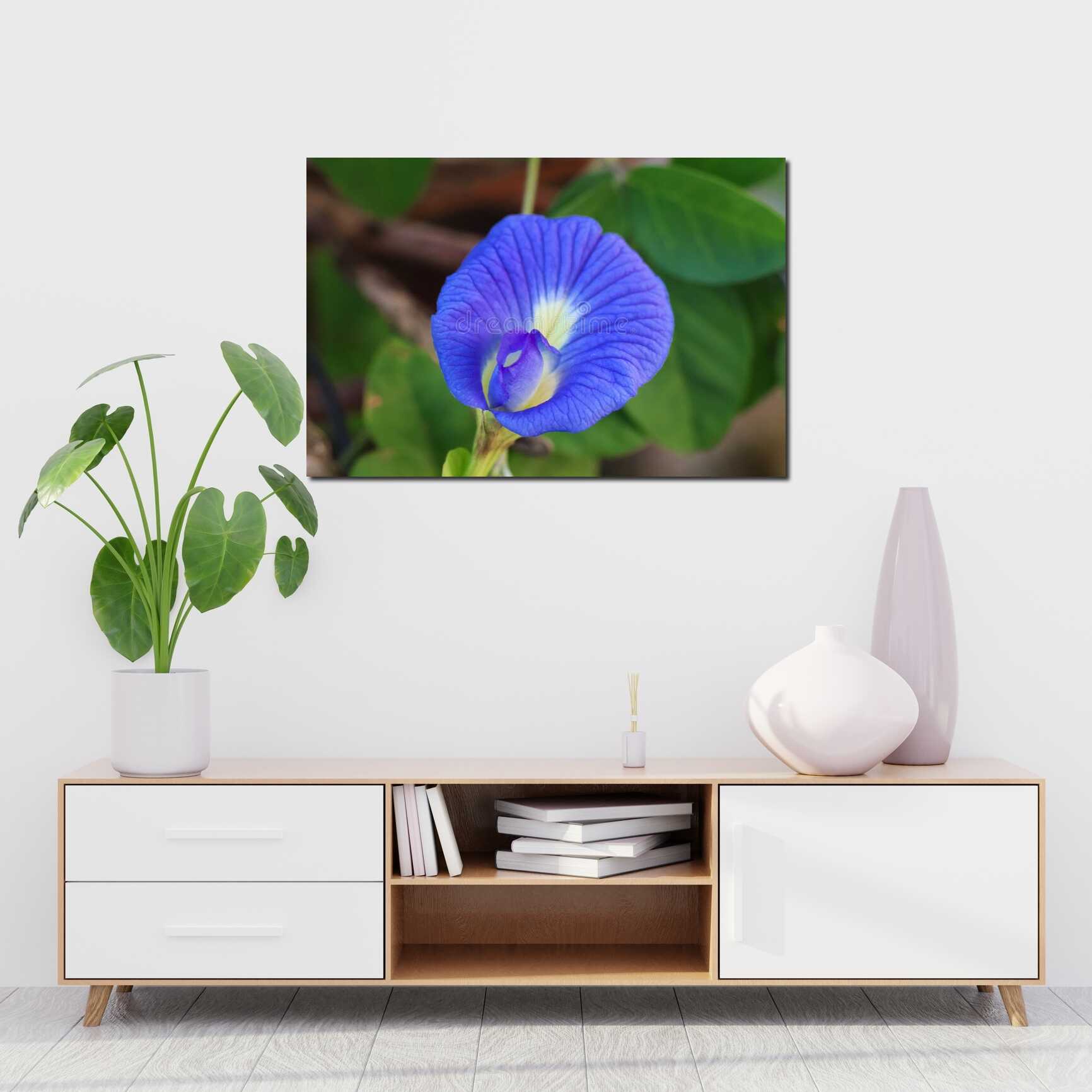 Canvas above sofa for size context