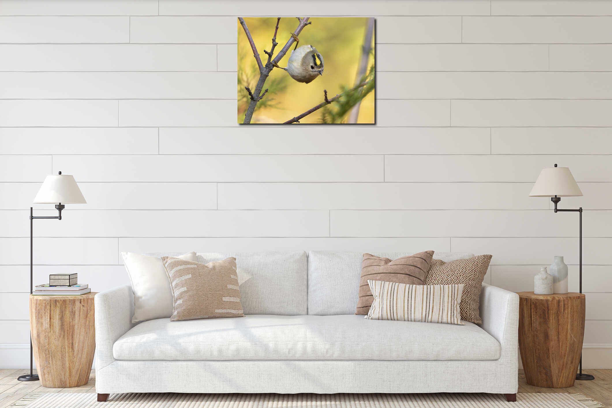 Goldcrest, Regulus regulus. Bird sitting on a branch, close-up, beautiful background interior mockup