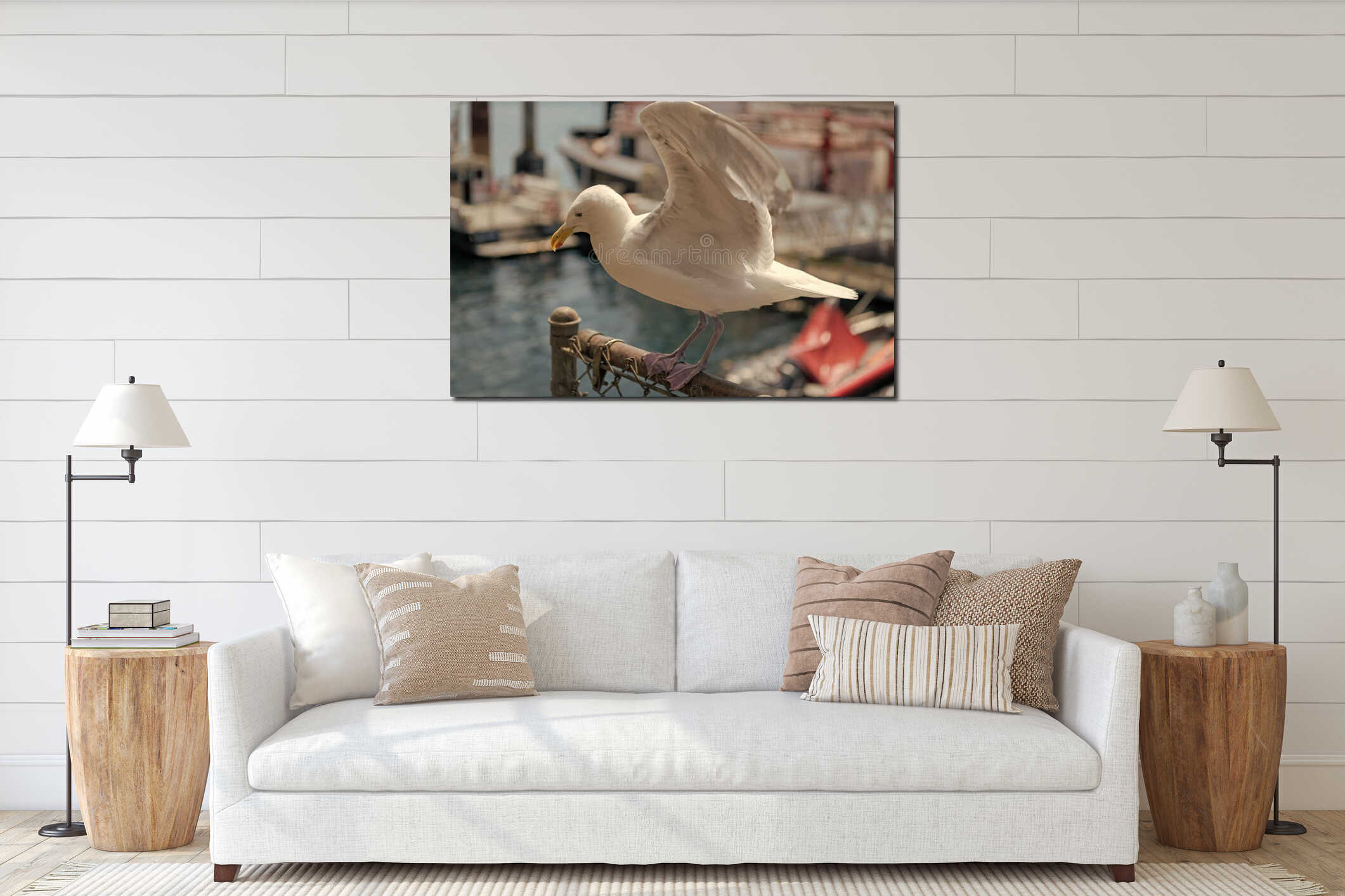Seagull sitting outdoor. A lonely seagull at the sea. Seagull near water. Sea gull bird. Fauna and nature. Seagull bird observing interior mockup
