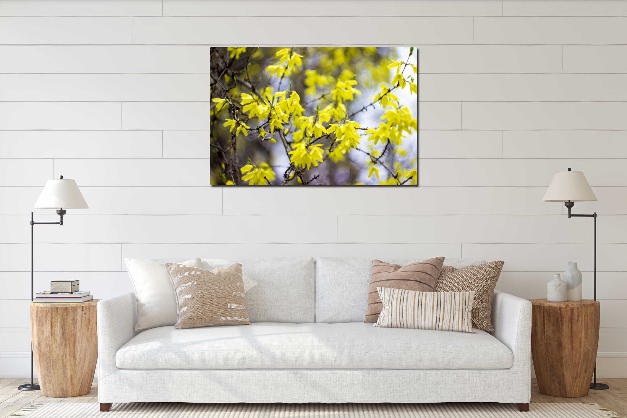 bright yellow blooming leaves of forsythia in spring interior mockup