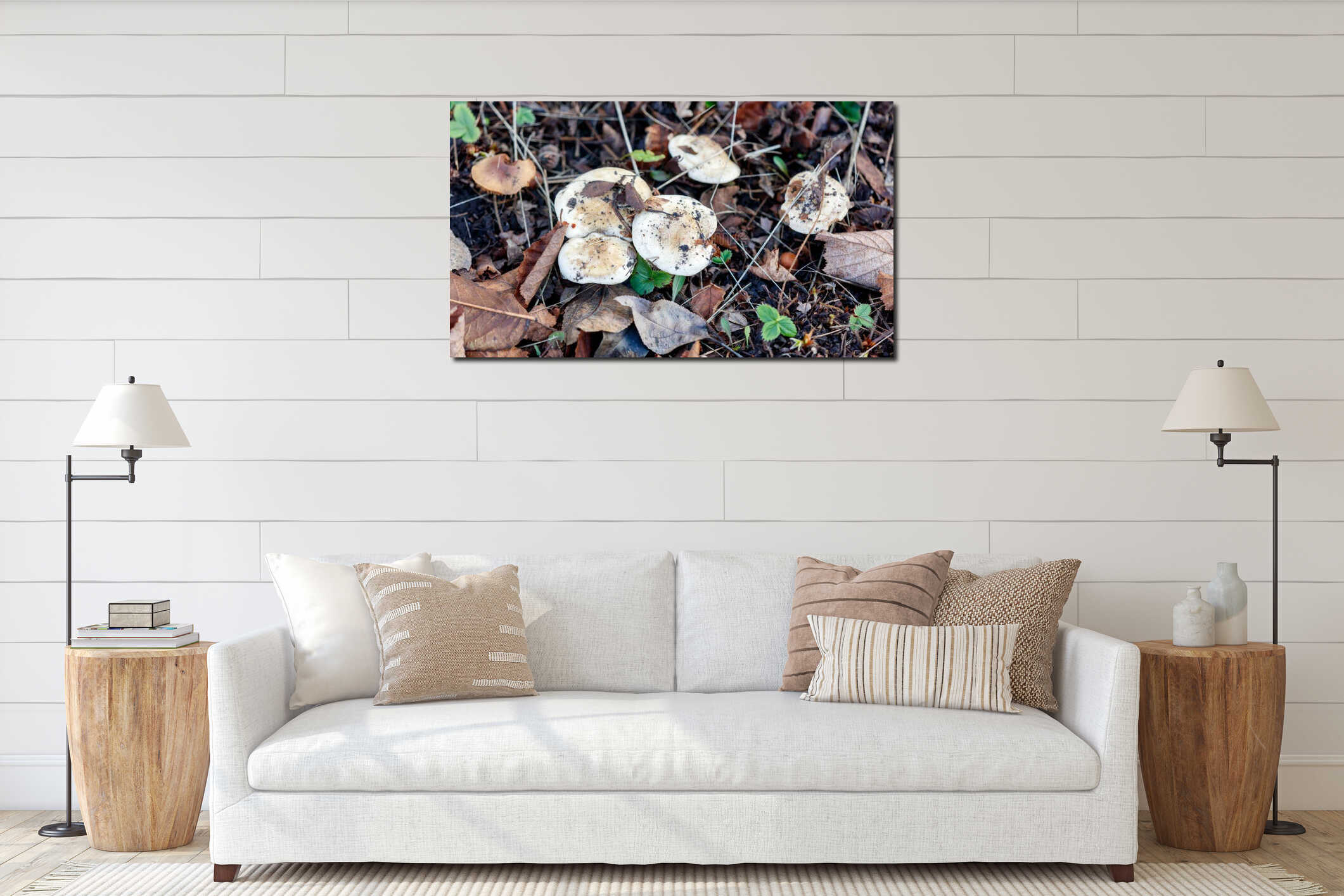 A group of mushrooms are growing on the ground interior mockup