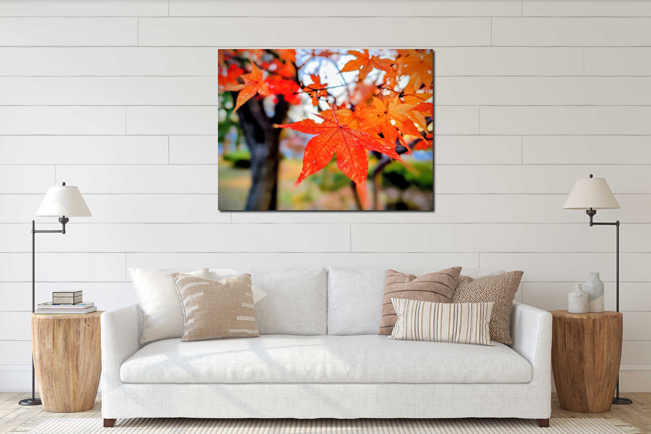 A close-up image of a red leaf of Acer palmatum, Japanese maple or palmate maple tree against blurred background interior mockup