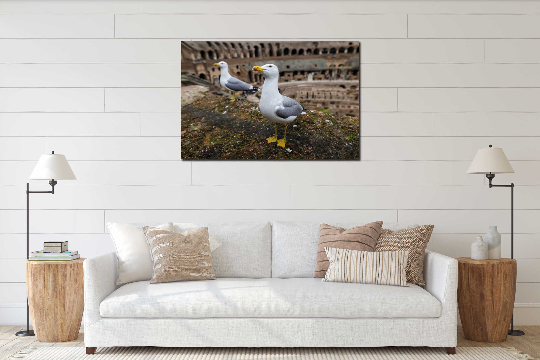 Seagull on the ruins of the ancient Colosseum in Rome interior mockup