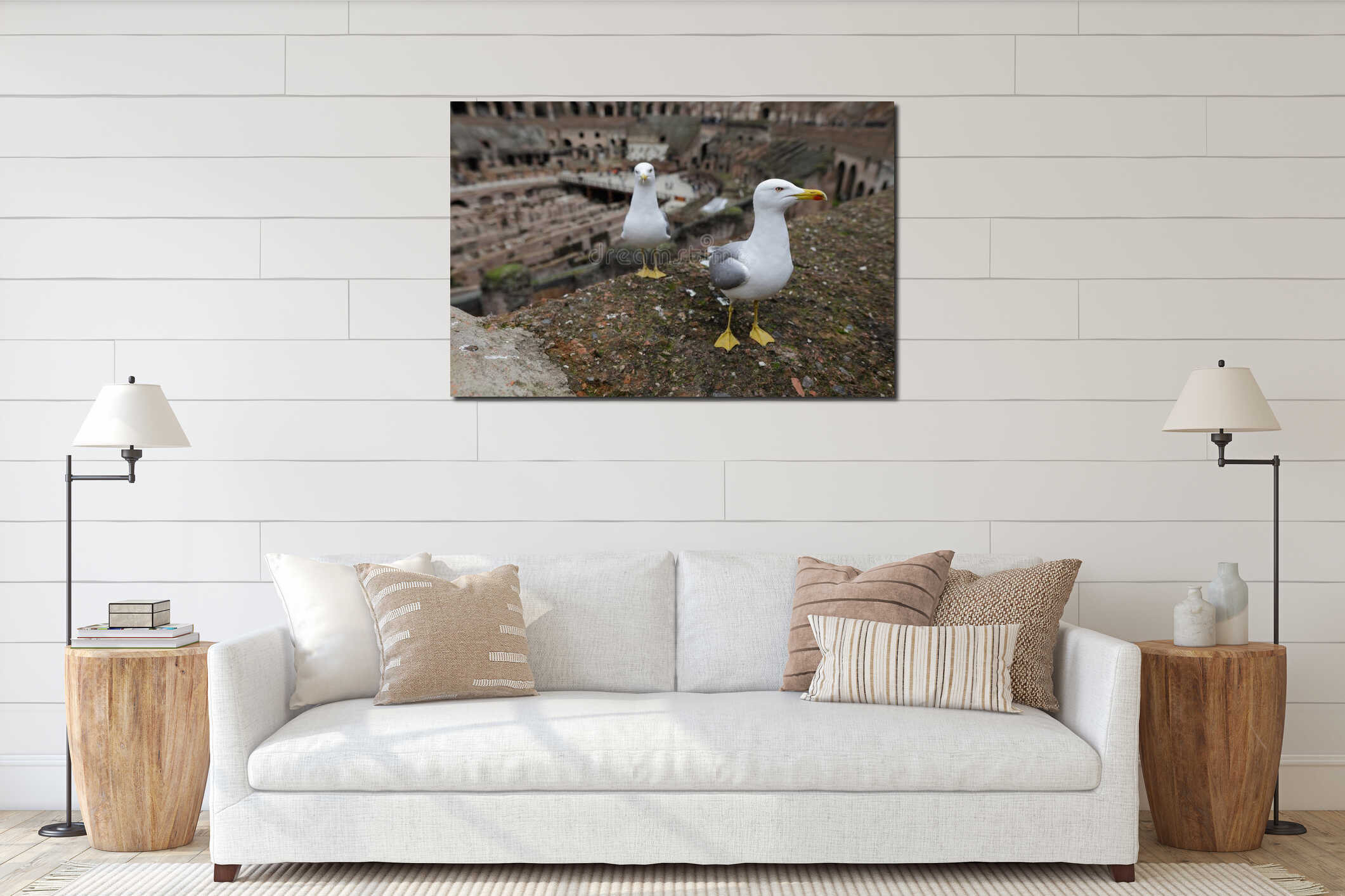 Seagull on the ruins of the ancient Colosseum in Rome interior mockup