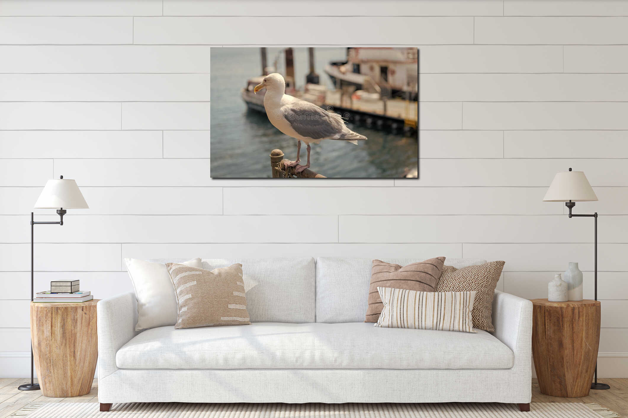 Seagull sitting outdoor. A lonely seagull at the sea. Seagull near water. Sea gull bird. Fauna and nature. Seagull bird observing interior mockup