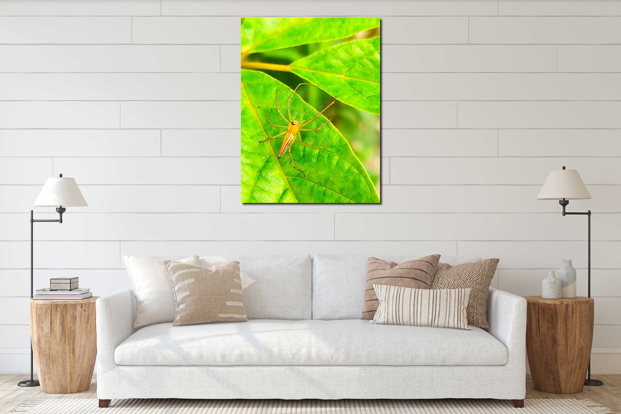 Vertical Close-up of a Slender Orange Striped Spider on a Textured Green Leaf interior mockup
